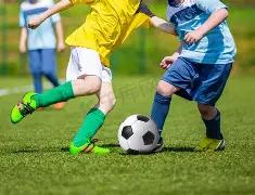 盈富基金净,吸金,亿港元,开云体育,开云体育官网,开云体育app,开云体育平台,KAIYUN,SPORTS,kaiyun登录入口