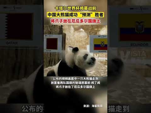 巅峰对决,广州迎战天,今晚谁将一,开云体育,开云体育官网,开云体育app,开云体育平台,KAIYUN,SPORTS,kaiyun登录入口