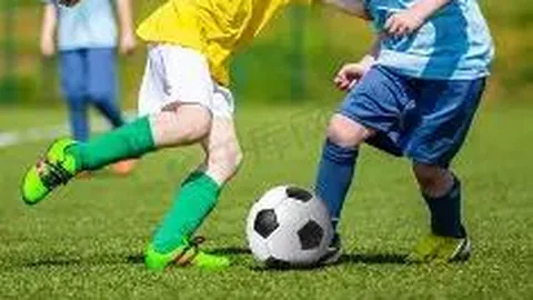 kaiyun体育 产品 085307 s9g