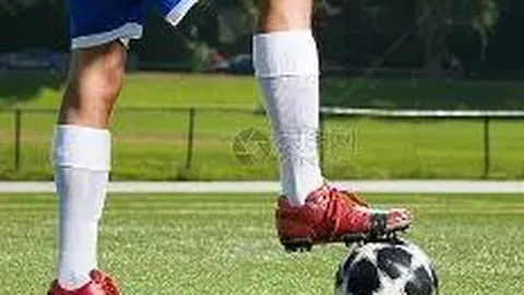 kaiyun体育 资讯 092338 ciy