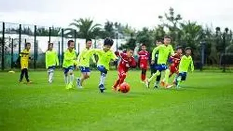 kaiyun体育 资讯 092537 ezj