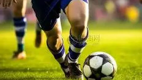 kaiyun体育 资讯 092535 y14