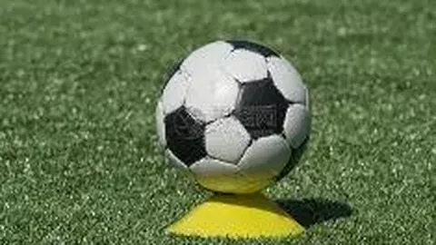 kaiyun体育 资讯 092244 0k1